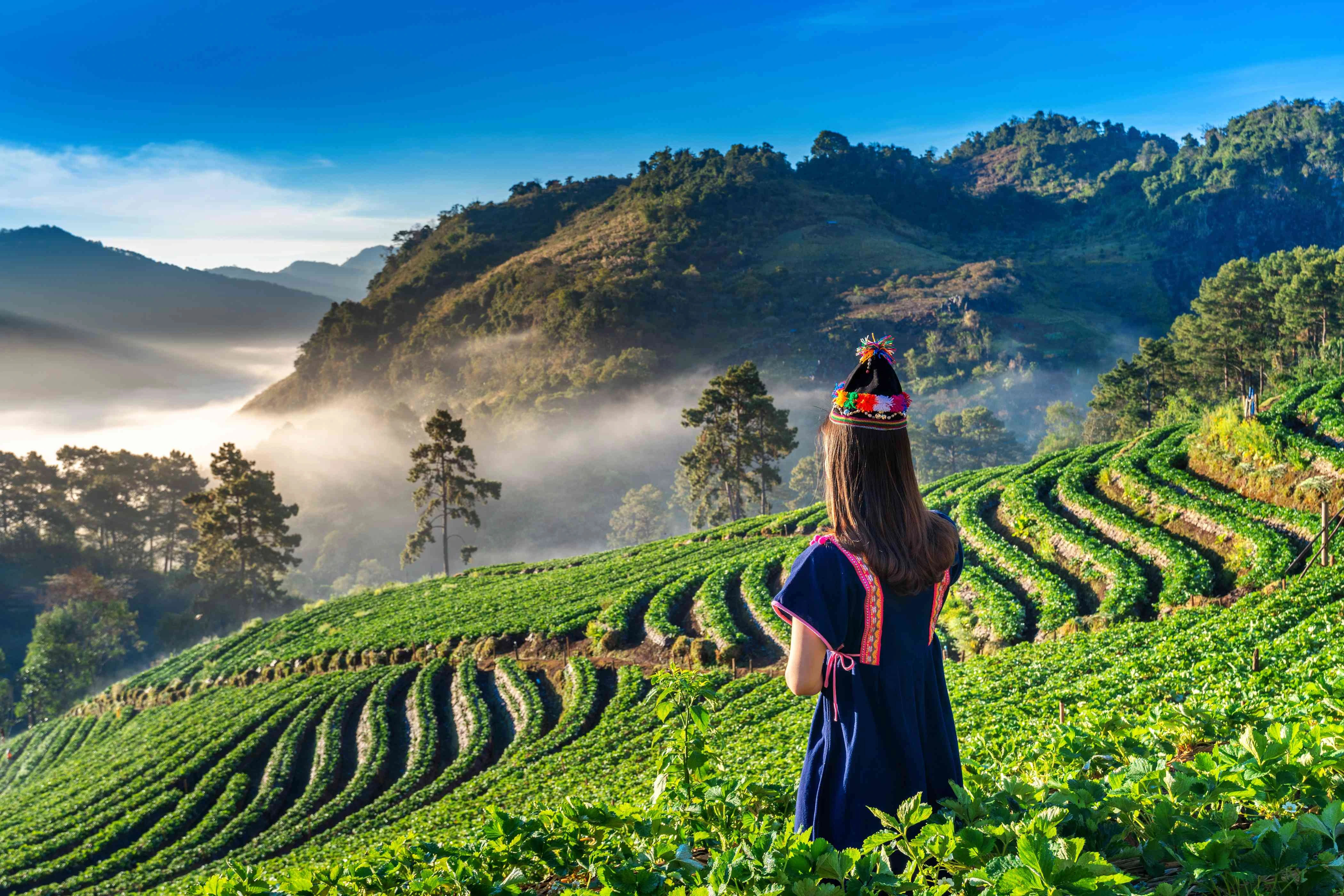 Munnar Tour Package